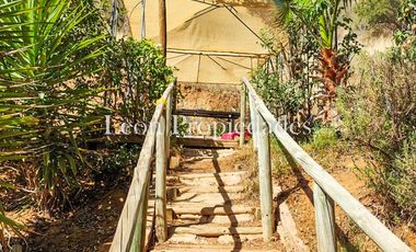 Leon Propiedades vende parcela con casa en sector Lo Aguila, Curacavi.