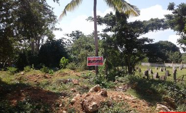 1,548sq.m Commercial Lot for Lease in Tawala, Panglao Bohol