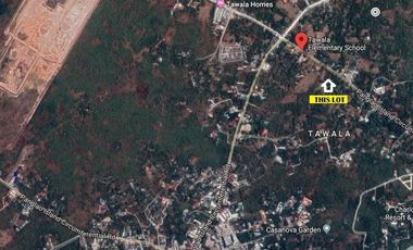 Commercial Lot for Lease in Tawala, Panglao Island, Bohol