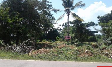 Commercial Lot for Lease in Tawala, Panglao Island, Bohol