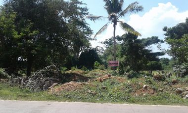 Commercial Lot for Lease in Tawala, Panglao Island, Bohol