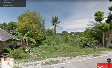 Commercial Lot for Lease in Tawala, Panglao Island, Bohol
