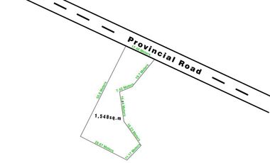 Commercial Lot for Lease in Tawala, Panglao Island, Bohol