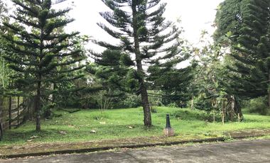 Residential/Agricultural Lot in Crisandto de los Reyes Ave., Amadeo, Cavite