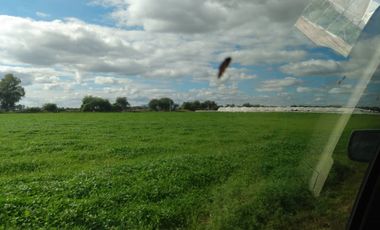 OPORTUNIDAD RANCHO AGRICOLA CON MACROTUNELES CON POZO, TIERRAS DE PRIMERA EN DOLORES HIDALGO, CON ACCESO CERCA CARRETERA Y A UN SUPER PRECIO
