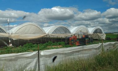 OPORTUNIDAD RANCHO AGRICOLA CON MACROTUNELES CON POZO, TIERRAS DE PRIMERA EN DOLORES HIDALGO, CON ACCESO CERCA CARRETERA Y A UN SUPER PRECIO