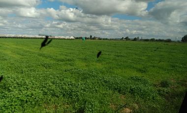 OPORTUNIDAD RANCHO AGRICOLA CON MACROTUNELES CON POZO, TIERRAS DE PRIMERA EN DOLORES HIDALGO, CON ACCESO CERCA CARRETERA Y A UN SUPER PRECIO