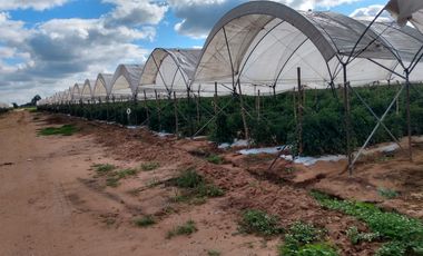 OPORTUNIDAD RANCHO AGRICOLA CON MACROTUNELES CON POZO, TIERRAS DE PRIMERA EN DOLORES HIDALGO, CON ACCESO CERCA CARRETERA Y A UN SUPER PRECIO