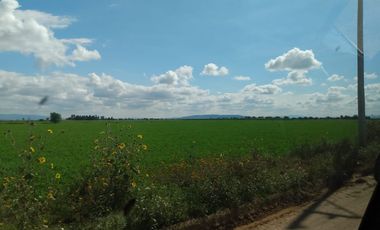 OPORTUNIDAD RANCHO AGRICOLA CON MACROTUNELES CON POZO, TIERRAS DE PRIMERA EN DOLORES HIDALGO, CON ACCESO CERCA CARRETERA Y A UN SUPER PRECIO
