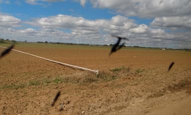 OPORTUNIDAD RANCHO AGRICOLA CON MACROTUNELES CON POZO, TIERRAS DE PRIMERA EN DOLORES HIDALGO, CON ACCESO CERCA CARRETERA Y A UN SUPER PRECIO