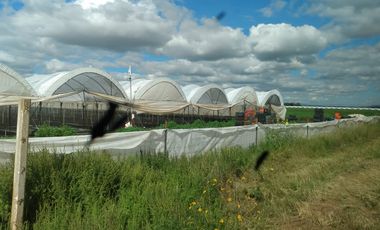 OPORTUNIDAD RANCHO AGRICOLA CON MACROTUNELES CON POZO, TIERRAS DE PRIMERA EN DOLORES HIDALGO, CON ACCESO CERCA CARRETERA Y A UN SUPER PRECIO