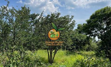 TERRENO DE 1 HECTÁREA EN JUANACATLAN, SALTO