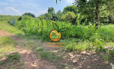 TERRENO DE 1 HECTÁREA EN JUANACATLAN, SALTO