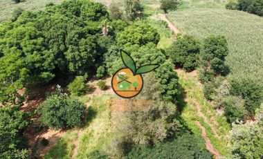 TERRENO DE 1 HECTÁREA EN JUANACATLAN, SALTO