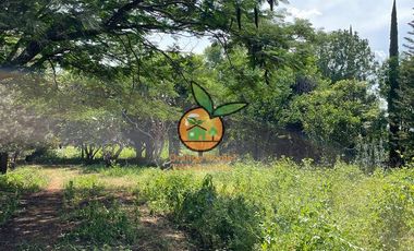 TERRENO DE 1 HECTÁREA EN JUANACATLAN, SALTO