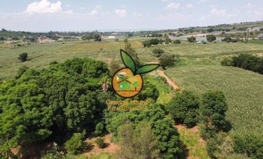 TERRENO DE 1 HECTÁREA EN JUANACATLAN, SALTO