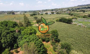 TERRENO DE 1 HECTÁREA EN JUANACATLAN, SALTO