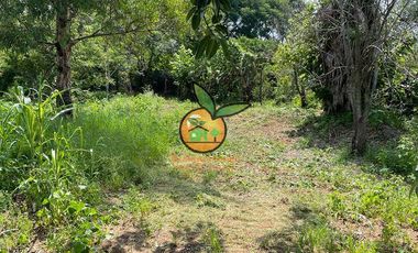 TERRENO DE 1 HECTÁREA EN JUANACATLAN, SALTO