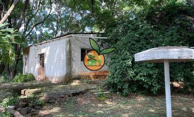 TERRENO DE 1 HECTÁREA EN JUANACATLAN, SALTO