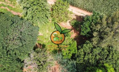 TERRENO DE 1 HECTÁREA EN JUANACATLAN, SALTO