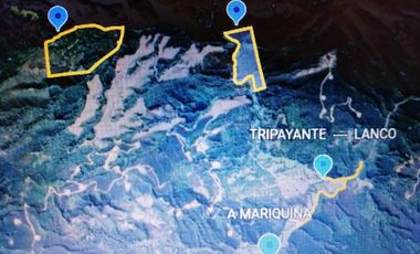 Se vende 02 Parcelas Sector Pureo-Tripayante