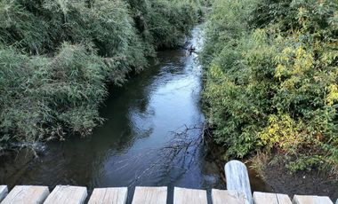 Se vende 02 Parcelas Sector Pureo-Tripayante