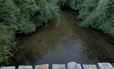 Se vende 02 Parcelas Sector Pureo-Tripayante