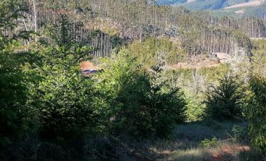 Se vende 02 Parcelas Sector Pureo-Tripayante