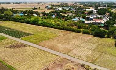 Farm Lot For Sale Santo Domingo, Nueva Ecija