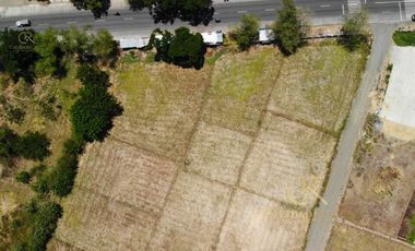 Farm Lot For Sale Santo Domingo, Nueva Ecija