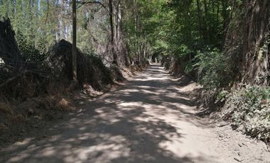 VENDE HERMOSAS PARCELAS, 5.000 M2, PLANAS, SECTOR ABRANTES, CAMINO CHACALLURA, PAINE, REGION METROPOLITANA