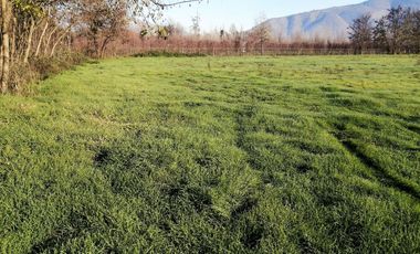 VENDE HERMOSAS PARCELAS, 5.000 M2, PLANAS, SECTOR ABRANTES, CAMINO CHACALLURA, PAINE, REGION METROPOLITANA