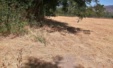 VENDE HERMOSAS PARCELAS, 5.000 M2, PLANAS, SECTOR ABRANTES, CAMINO CHACALLURA, PAINE, REGION METROPOLITANA