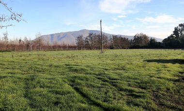 VENDE HERMOSAS PARCELAS, 5.000 M2, PLANAS, SECTOR ABRANTES, CAMINO CHACALLURA, PAINE, REGION METROPOLITANA