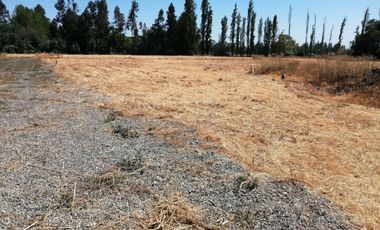 VENDE HERMOSAS PARCELAS, 5.000 M2, PLANAS, SECTOR ABRANTES, CAMINO CHACALLURA, PAINE, REGION METROPOLITANA