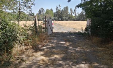 VENDE HERMOSAS PARCELAS, 5.000 M2, PLANAS, SECTOR ABRANTES, CAMINO CHACALLURA, PAINE, REGION METROPOLITANA