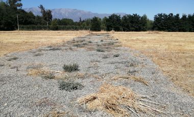 VENDE HERMOSAS PARCELAS, 5.000 M2, PLANAS, SECTOR ABRANTES, CAMINO CHACALLURA, PAINE, REGION METROPOLITANA