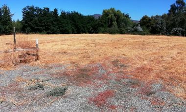 VENDE HERMOSAS PARCELAS, 5.000 M2, PLANAS, SECTOR ABRANTES, CAMINO CHACALLURA, PAINE, REGION METROPOLITANA
