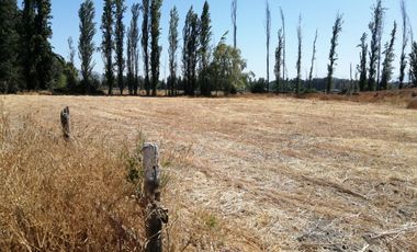 VENDE HERMOSAS PARCELAS, 5.000 M2, PLANAS, SECTOR ABRANTES, CAMINO CHACALLURA, PAINE, REGION METROPOLITANA