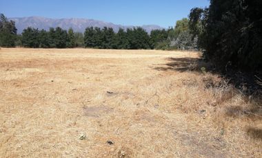 VENDE HERMOSAS PARCELAS, 5.000 M2, PLANAS, SECTOR ABRANTES, CAMINO CHACALLURA, PAINE, REGION METROPOLITANA