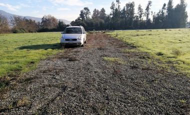 VENDE HERMOSAS PARCELAS, 5.000 M2, PLANAS, SECTOR ABRANTES, CAMINO CHACALLURA, PAINE, REGION METROPOLITANA