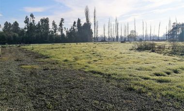 VENDE HERMOSAS PARCELAS, 5.000 M2, PLANAS, SECTOR ABRANTES, CAMINO CHACALLURA, PAINE, REGION METROPOLITANA