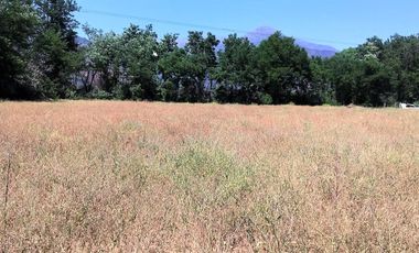 VENDE HERMOSAS PARCELAS, 5.000 M2, PLANAS, SECTOR ABRANTES, CAMINO CHACALLURA, PAINE, REGION METROPOLITANA