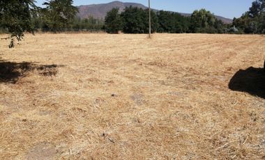 VENDE HERMOSAS PARCELAS, 5.000 M2, PLANAS, SECTOR ABRANTES, CAMINO CHACALLURA, PAINE, REGION METROPOLITANA