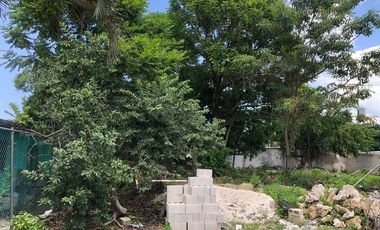 VENTA TERRENO EN ESQUINA MIXTO HABITACIONAL COMERCIAL 