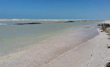 San Benito, Dzemul Terreno en venta, 3era. Fila, en San Benito, Yucatan