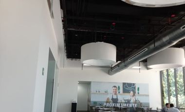 CONSULTORIO EN RENTA U OFICINA CORPORATIVA PARA MÉDICOS O EJECUTIVOS AAA EN TORRE EJECUTIVA ELEMENTA