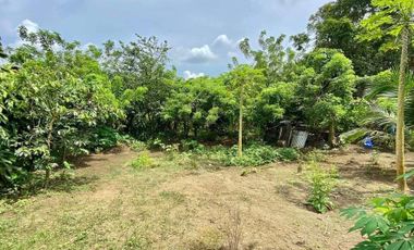 For Sale: Residential Lot in Silang