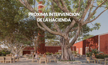 Terrenos para Locales Comerciales en Telchac a Pie de Carreretera