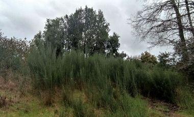 Parcela 2 hectáreas, con 3 cabañas  Ruta 5, Los Lagos $180.000.000